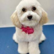 αρχείο λήψης